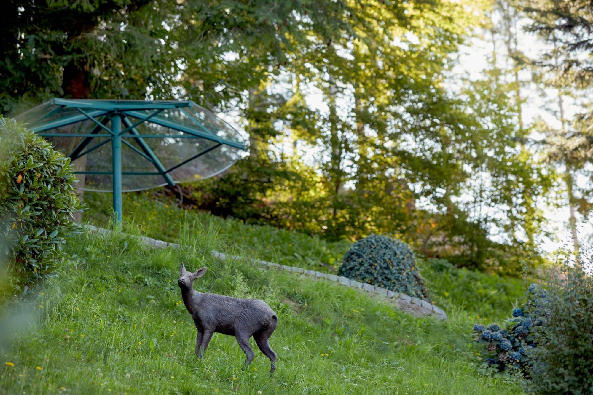 Hotel Dollenberg Bad Peterstal-Griesbach Zimmer foto